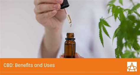 Discovering CBD's Benefits