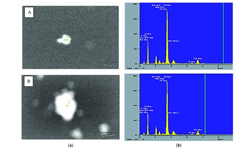 Sem Images A And Elemental Spectra B Of Aunps Synthesized By R