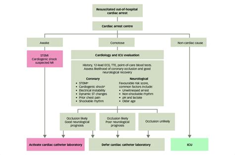 Management Of The Resuscitated Out Of Hospital Cardiac Arrest Patient