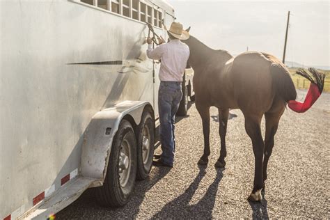 Trailer tire check up