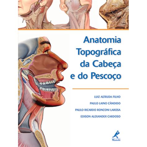 Anatomia Topogr Fica Da Cabe A E Do Pesco O Submarino