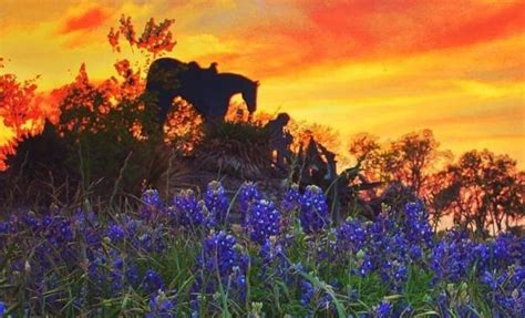 3 Texas Hill Country Towns That Are Dripping With Charm