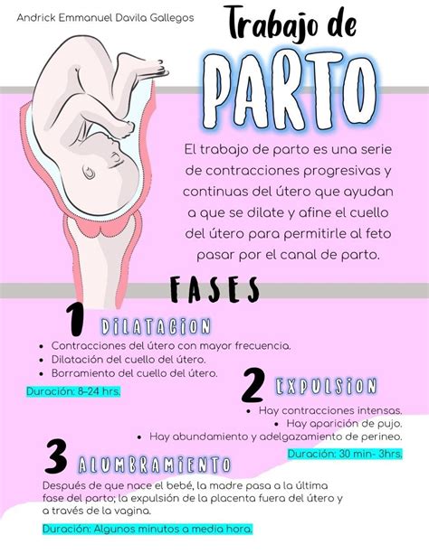 Fases Del Parto Trabajo De Parto Artofit