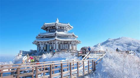 Winter South Korea Wallpapers - Wallpaper Cave