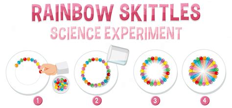 Premium Vector | Rainbow skittles science experiment