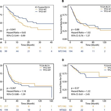 Associations Of The TP53 Mutation Status And Clinical Outcomes A