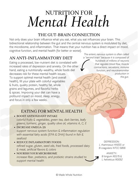 Nutrition For Mental Health Handout — Functional Health Research Resources — Made Whole Nutrition