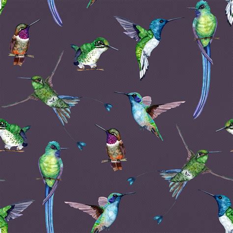 Colombian Hummingbirds on Behance