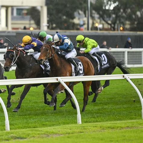 Ciaron Maher Racing on Twitter: "Zoukerette's all-the-way Stakes win ...