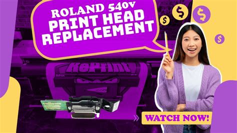 Roland Sp V V Print Head Replacement And Alignments Save Money