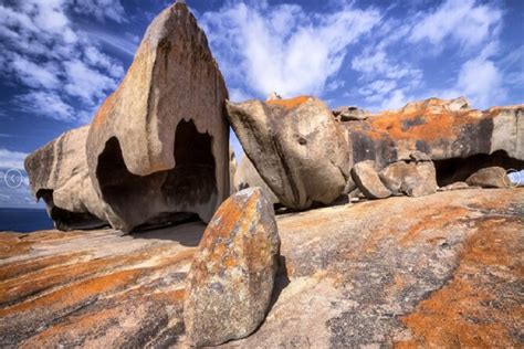 6 Days Kangaroo Island Adelaide Shared Tour