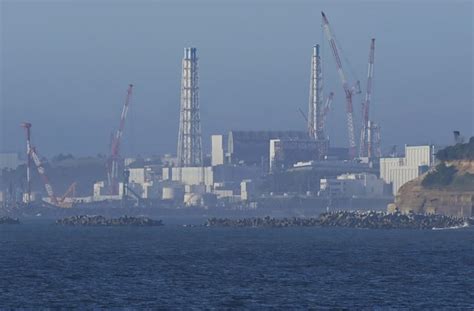 Reaction to Japan's release of water from Fukushima nuclear plant | Reuters