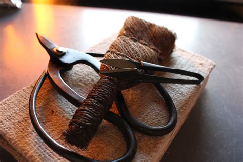 How To Use And Care For Your Bonsai Tools HubPages