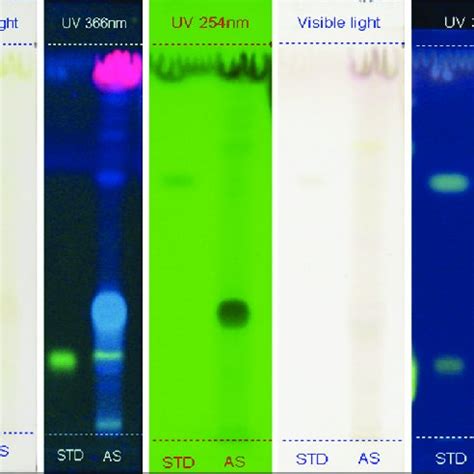 High Performance Thin Layer Chromatography Chromatogram Of Ethanolic