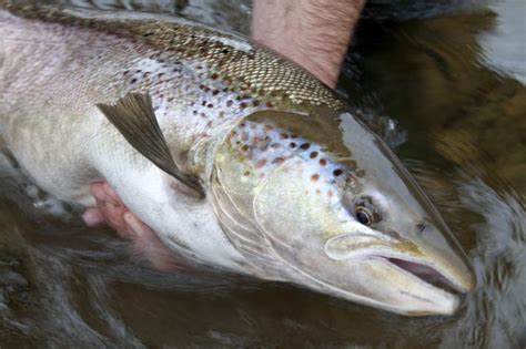 How to Make a Pompano Rig | Gone Outdoors | Your Adventure Awaits