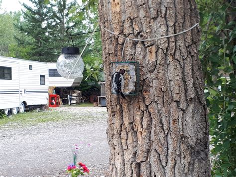 Long Term Camping in Alberta - Riverbend Campground, Okotoks, Calgary ...