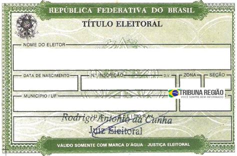 Como Saber O Número Do Título De Eleitor Tribuna Região