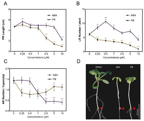 Genes Free Full Text Arabidopsis Hypocotyl Adventitious Root