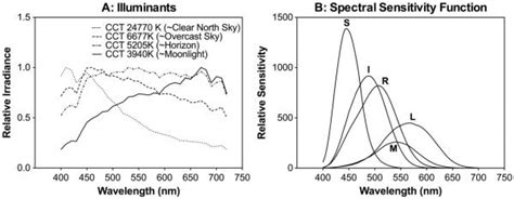 Contributions Of Rhodopsin Cone Opsins And Melanopsin To