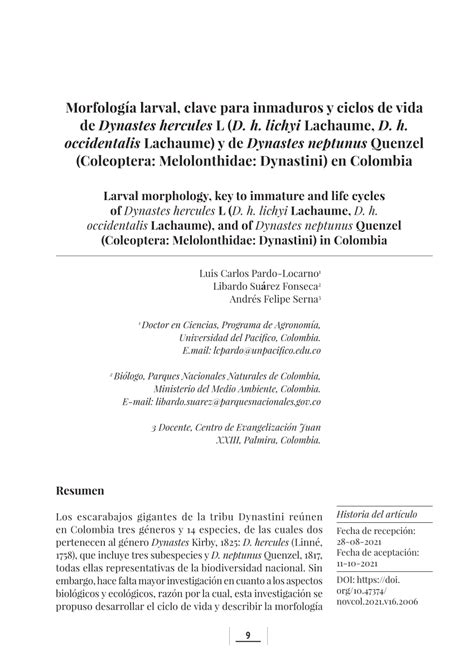 Pdf Morfolog A Larval Clave Para Inmaduros Y Ciclos De Vida De