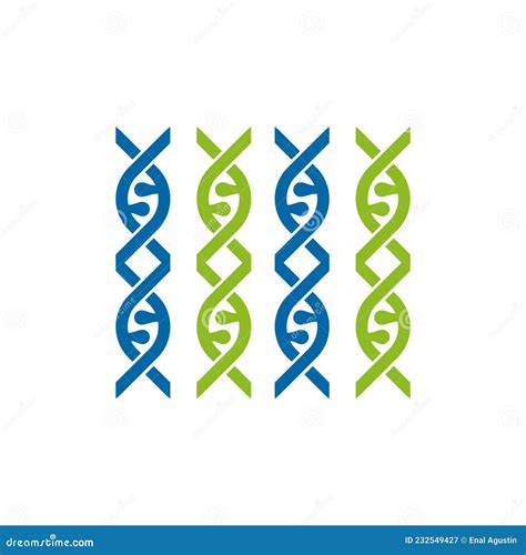 Dna Chromosome Science Genetic Logo Design Stock Vector Illustration