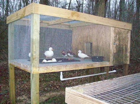 Raised Duck Pen W Plastic Pond And Pvc Drain Photos Duck Pens