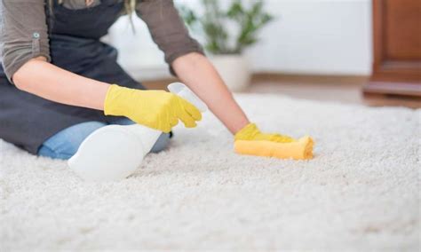 How To Clean Wool Carpet Stains