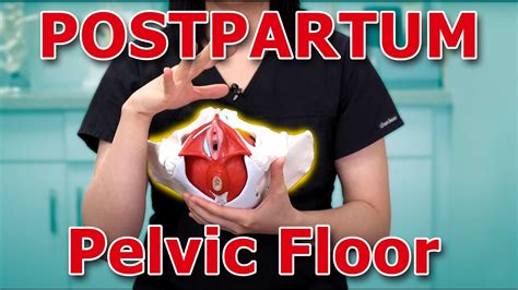 The Best Postpartum Pelvic Floor Exercise Physical Therapy Hip