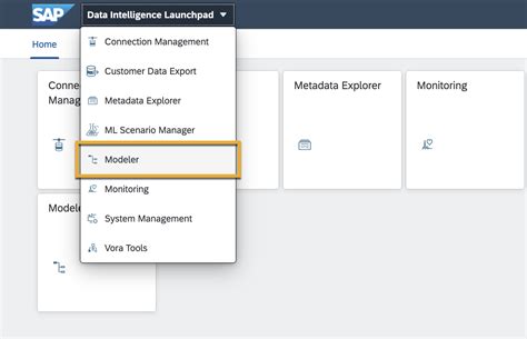 Connect Sap Data Intelligence Cloud To Sap Datasphere Sap Tutorials