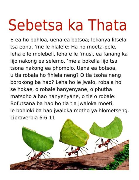 Sotho Sesotho Motivational Diligence Tractpdf