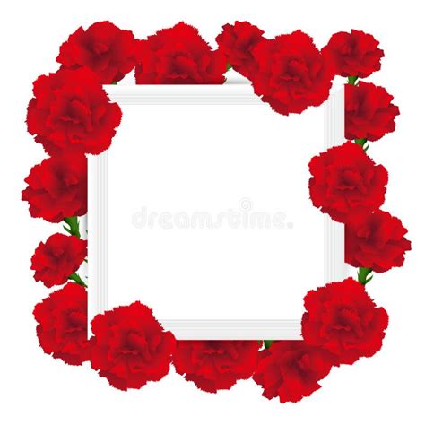 Art Frame With Carnations Illustration Stock Vector Illustration Of