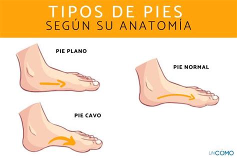 Estas Son Las Formas De Los Pies Que Revelan Diferentes Tipos De