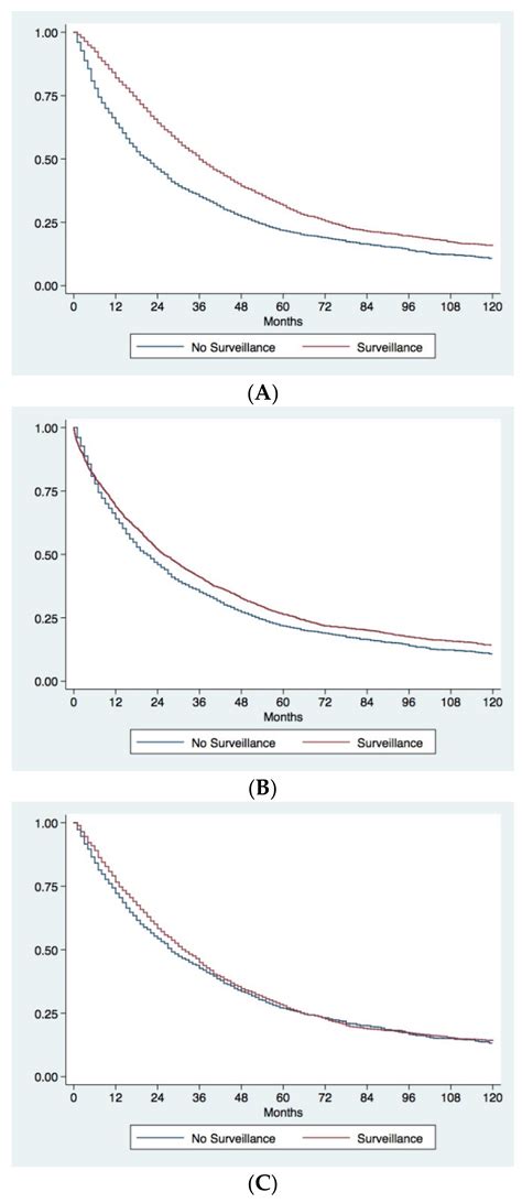 Cancers Free Full Text Surveillance As Determinant Of Long Term Survival In Non Transplanted