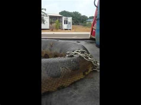 Cobra Sicuri Mais De M E Kg Encontrada Ao Explodir Uma Gruta