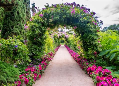 Sendero Bajo Un Hermoso Arco De Flores Y Plantas Foto Premium