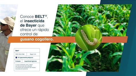 Conoce El Insecticida Belt Agro Bayer Ecuador Youtube