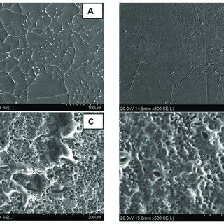 SEM Imaging Of The Surface Microstructure For Uncoated And MAO Coated