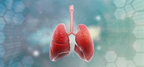 Pulmonology - boshospitals