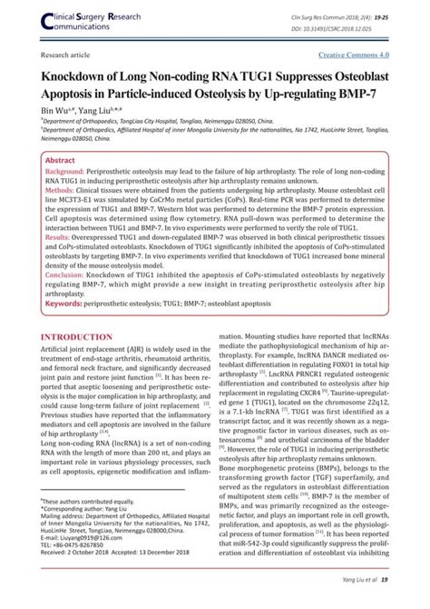 Knockdown Of Long Non Coding Rna Tug Suppresses Osteoblast Apoptosis