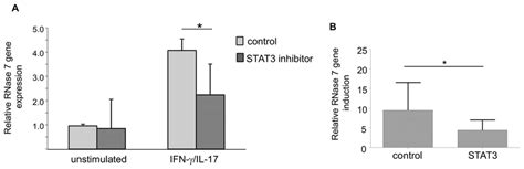 Ifn Cil 17a Induced Rnase 7 Gene Expression Is Mediated By Stat3 A Download Scientific