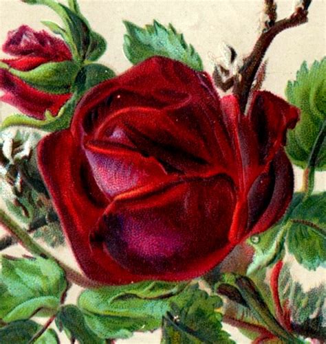 S Embossed Victorian New Year S Card Lovely Red Rose Fab F