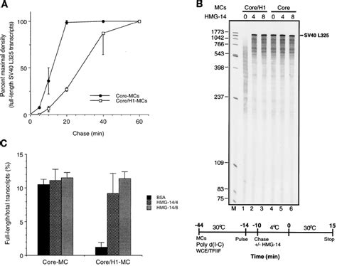 HMG 14 Alleviates Histone H1 Mediated Inhibition Of Elongation By Pol