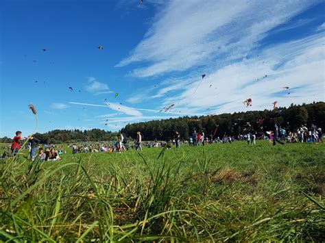 Weingarten In Nessenreben Findet Das Drachenfest Statt