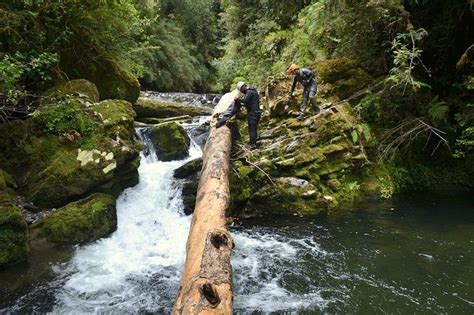 Ruta Vuelta Al Lago Ranco Bocalago