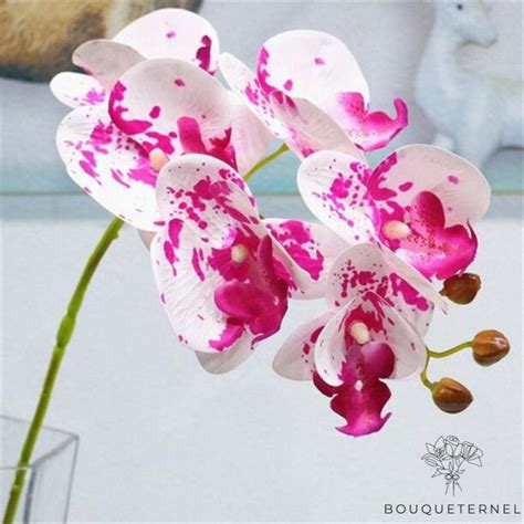 Grande Orchid E Artificielle En Pot Bouqueternel