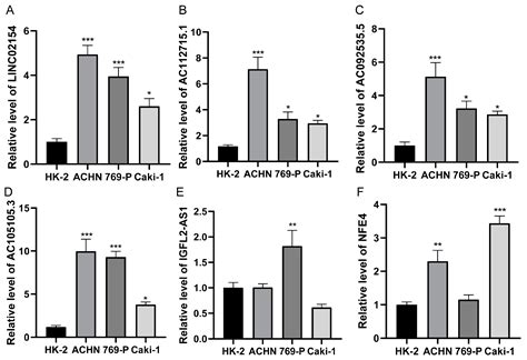 Biomedicines Free Full Text Basement Membrane Associated Lncrna Risk Model Predicts