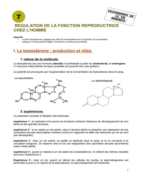 R Gulation De La Fonction Reproductrice Chez L Homme