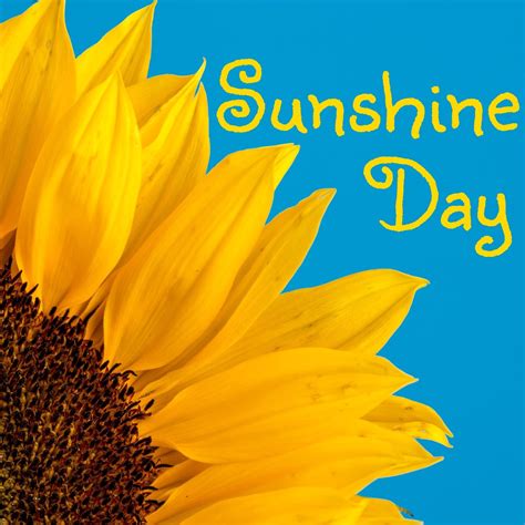 ‎Sunshine Day by Various Artists on Apple Music