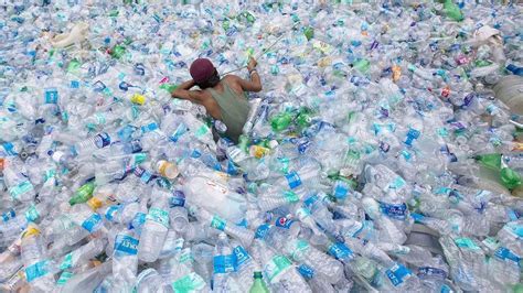 Scientists Accidentally Create Mutated Enzymes That Eat Plastic