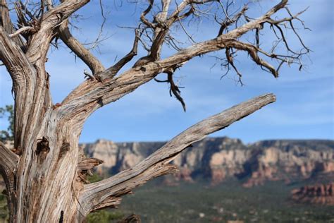 Sedona : 3 Easy Vortex Hikes that should be on your list • Outside ...